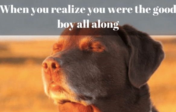 Screen Shot 2018-08-30 at 11.55.45 AM.png