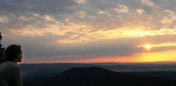 screen shot 2019-01-16 at 10.18.16 am